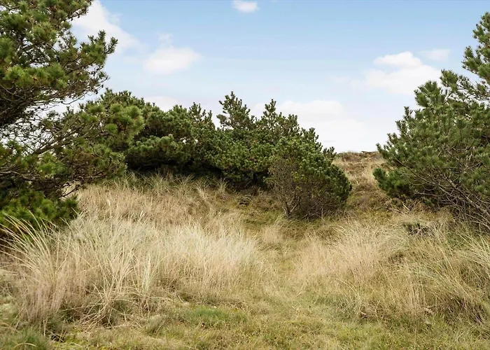 6645-hvide-sande-nymandsbjerg-10 Casa vacanze